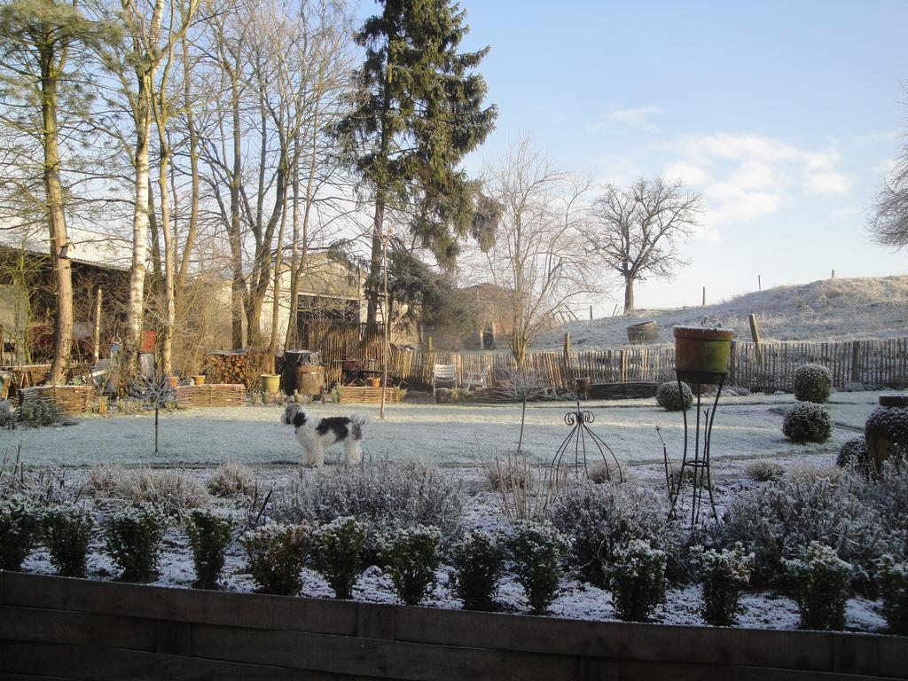 B&B Au Pont D'Arcole Beauvechain Zewnętrze zdjęcie